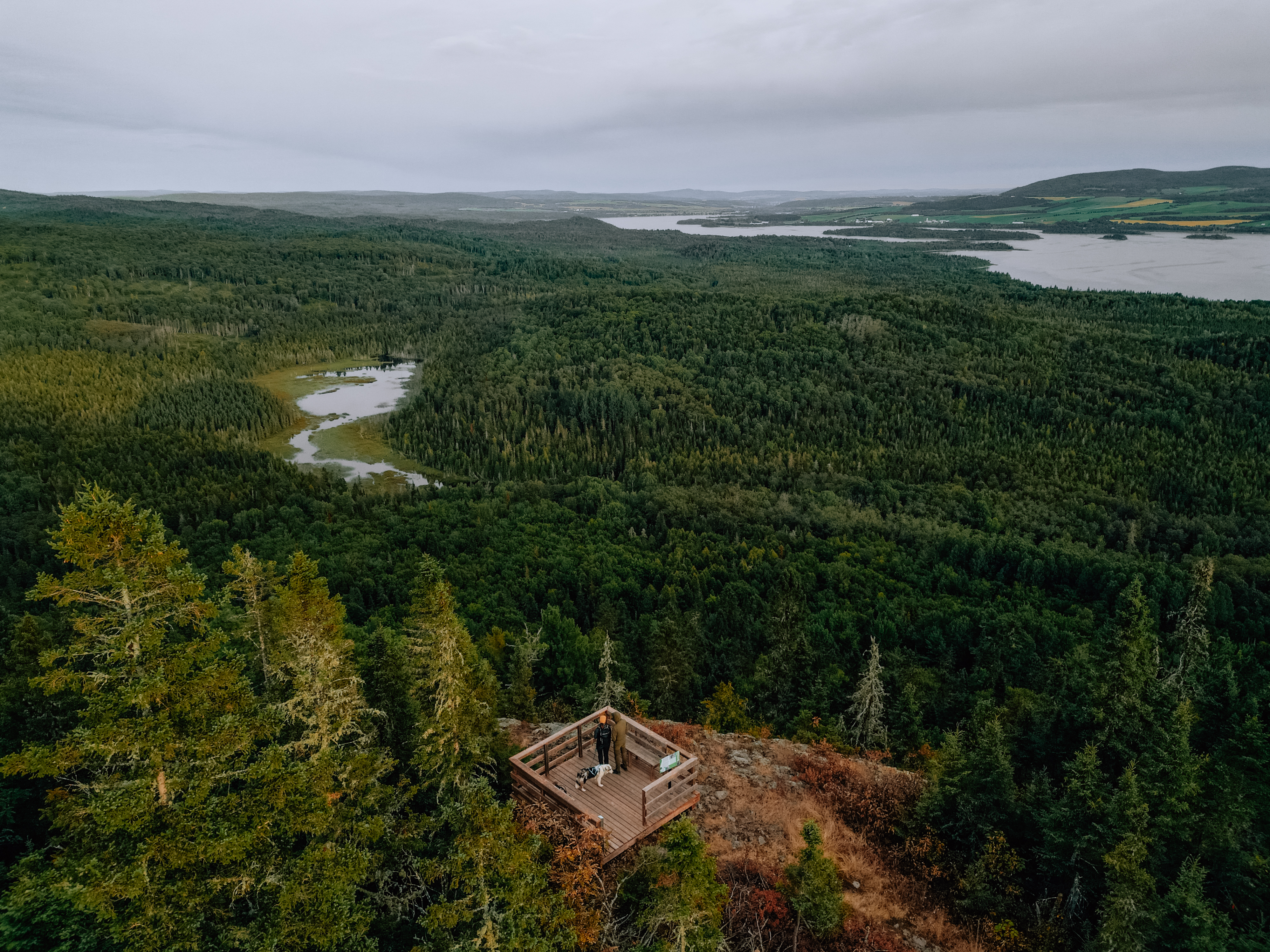 Parc régional du Lac-Matapédia_sentier des crêtes_Clouzote